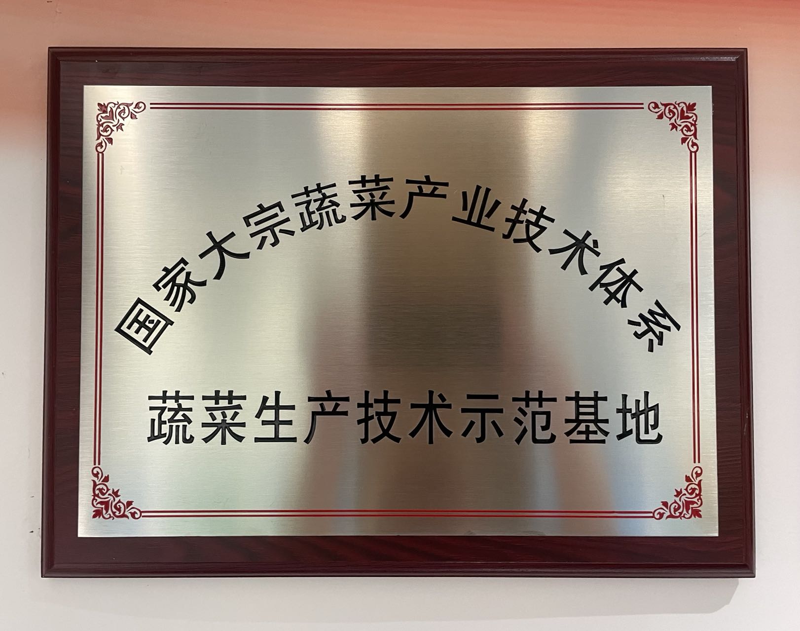 国家大宗蔬菜产业技术体系—蔬菜生产技术示范基地